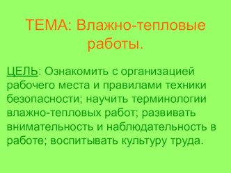 Презентация к уроку технологии Влажно-тепловые работы