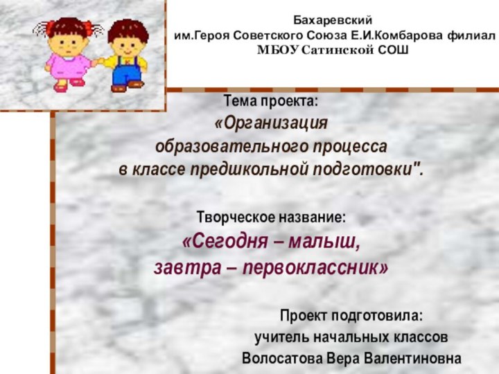 Тема проекта:  «Организация  образовательного процесса  в классе предшкольной подготовки