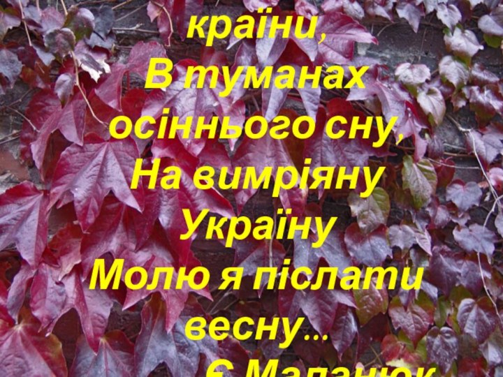 Під небом чужої країни,  В туманах осіннього сну,  На вимріяну