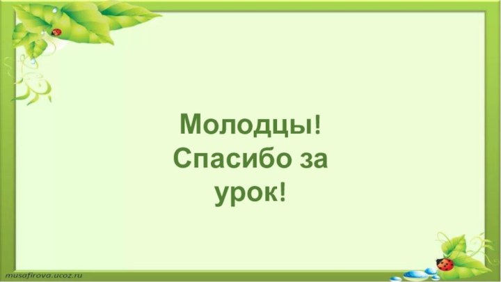 Молодцы!Спасибо за урок!