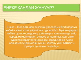 Презентация по биологии на тему Буйволы(7 класс)