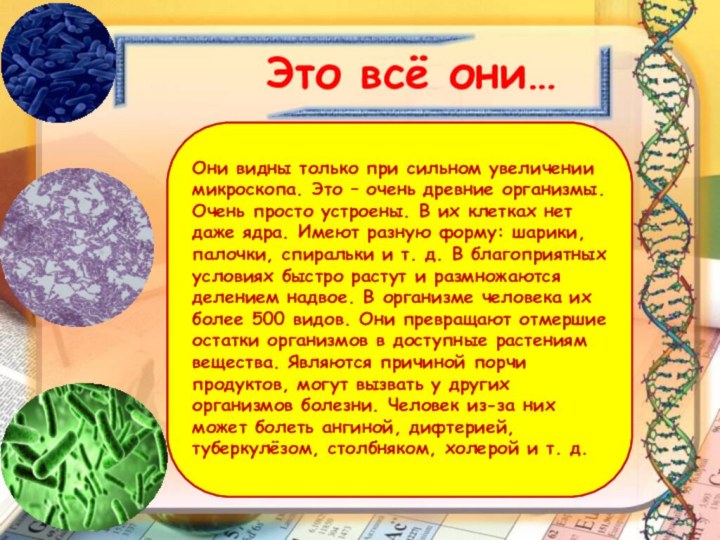 Это всё они…Они видны только при сильном увеличении микроскопа. Это – очень