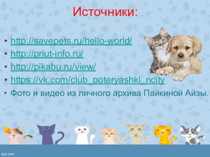 Источники: http://savepets.ru/hello-world/http://priut-info.ru/http://pikabu.ru/view/https://vk.com/club_poteryashki_ncityФото и видео из личного архива Пайкиной Айзы.