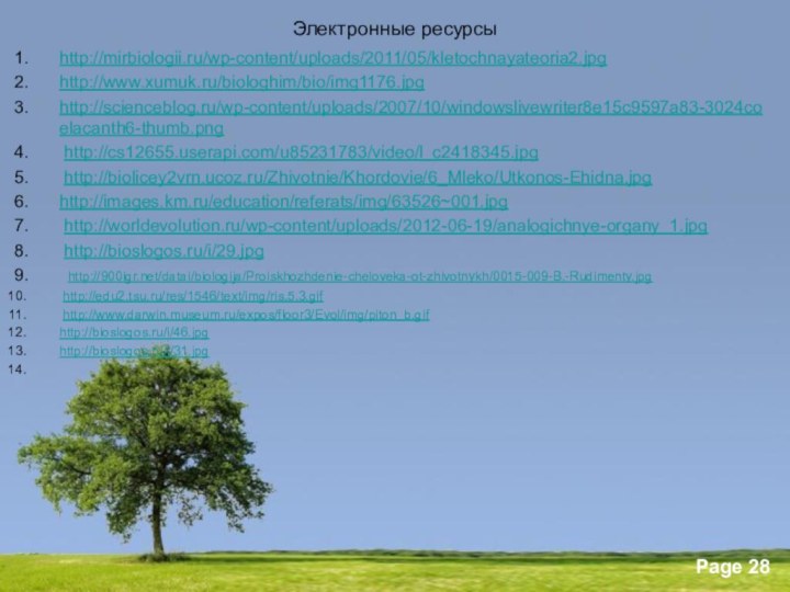 Электронные ресурсыhttp://mirbiologii.ru/wp-content/uploads/2011/05/kletochnayateoria2.jpghttp://www.xumuk.ru/biologhim/bio/img1176.jpghttp://scienceblog.ru/wp-content/uploads/2007/10/windowslivewriter8e15c9597a83-3024coelacanth6-thumb.png http://cs12655.userapi.com/u85231783/video/l_c2418345.jpg http://biolicey2vrn.ucoz.ru/Zhivotnie/Khordovie/6_Mleko/Utkonos-Ehidna.jpghttp://images.km.ru/education/referats/img/63526~001.jpg http://worldevolution.ru/wp-content/uploads/2012-06-19/analogichnye-organy_1.jpg http://bioslogos.ru/i/29.jpg http:///datai/biologija/Proiskhozhdenie-cheloveka-ot-zhivotnykh/0015-009-B.-Rudimenty.jpg http://edu2.tsu.ru/res/1546/text/img/ris.5.3.gif http://www.darwin.museum.ru/expos/floor3/Evol/img/piton_b.gifhttp://bioslogos.ru/i/46.jpghttp://bioslogos.ru/i/31.jpg