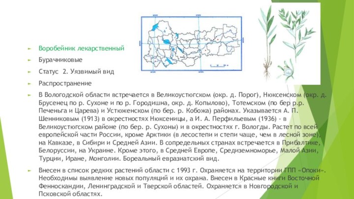 Воробейник лекарственный Бурачниковые Статус 2. Уязвимый видРаспространение В Вологодской области встречается в