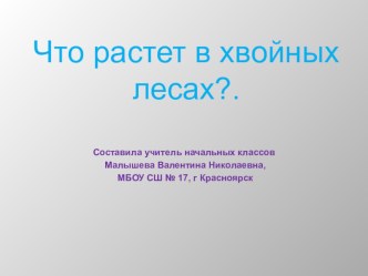 Презентация по окружающему миру  Что растет в хвойных лесах?