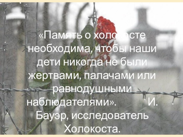 «Память о холокосте необходима, чтобы наши дети никогда не были жертвами, палачами