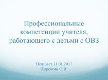 Профессиональные компетенции учителя работающего с детьми с ОВЗ