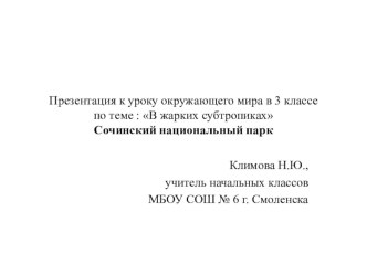 Презентация к уроку окружающего мира Сочинский национальный парк