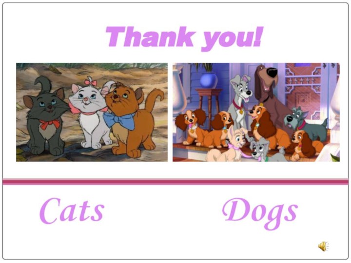 CatsDogsThank you!