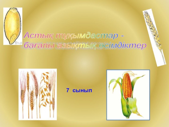7 сыныпАстық тұқымдастар -  бағалы азықтық өсімдіктер