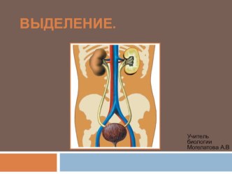 Презентация по биологии на тему : Выделение