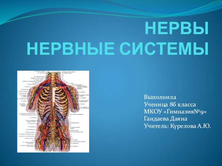 НЕРВЫ НЕРВНЫЕ СИСТЕМЫ Выполнила Ученица 8б классаМКОУ «Гимназия№9»Гандаева ДаянаУчитель: Курелова А.Ю.