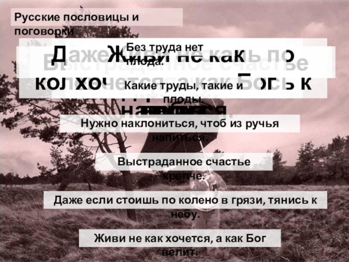 Без труда нет плода.Какие труды, такие и плоды.Нужно наклониться, чтоб из ручья