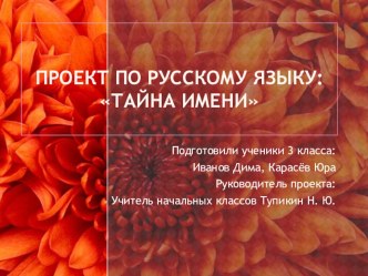 Проект по русскому языку на тему: Тайна имени