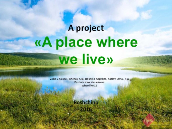 A project  «A place where  we live»