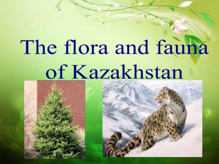 The flora and fauna of Kazakhstan