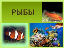 Презентация по природоведение 5 класс на тему Рыбы