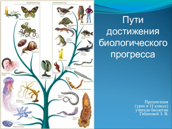 Презентация (урок в 11 классе)учителя биологииГабановой З. В.Пути достижения биологического прогресса