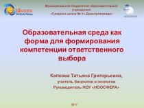 Образовательная среда как средство формирования компетенции ответственного выбора