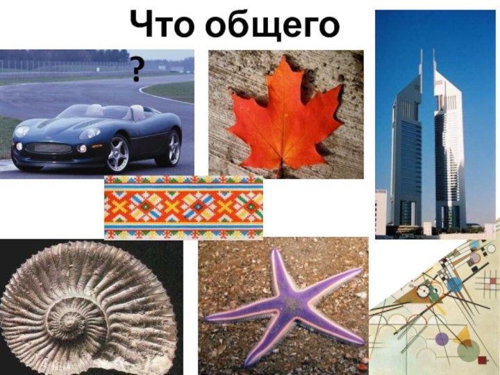 Что общего ?