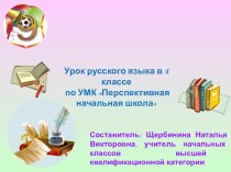Презентация к уроку русского языка по теме Фразеологизмы