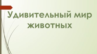 Презентация Удивительный мир животных. Внеурочная деятельность Юный эколог