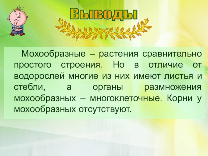 Мохообразные – растения сравнительно простого строения. Но в отличие от