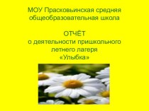 Презентация отчета о деятельности пришкольного летнего лагеря Улыбка