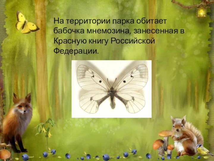 На территории парка обитает бабочка мнемозина, занесенная в Красную книгу Российской Федерации.