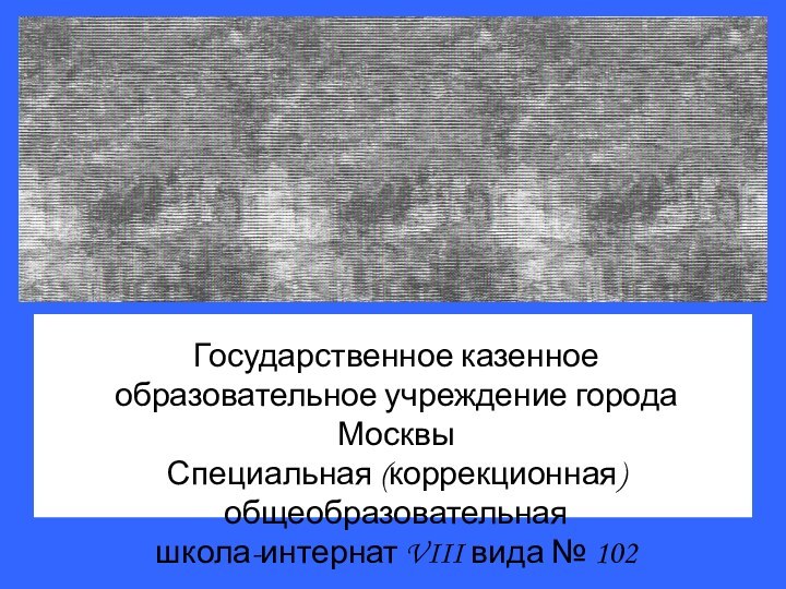 Государственное казенное образовательное учреждение города МосквыСпециальная (коррекционная) общеобразовательнаяшкола-интернат VIII вида № 102