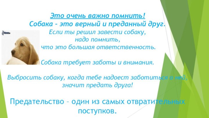 Это очень важно помнить! Собака – это верный и преданный друг. Если