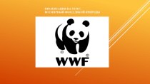 Презентация Всемирный фонд дикой природы
