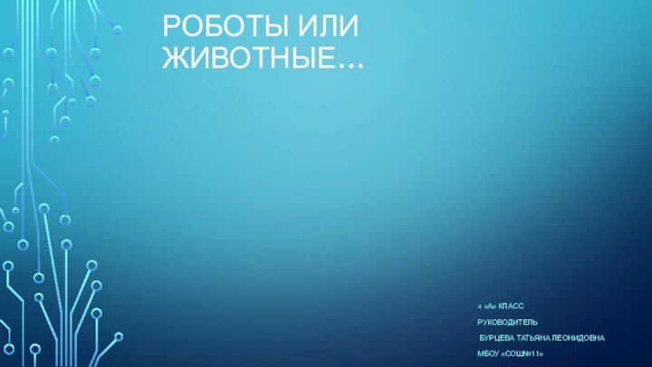 Роботы или животные…4 «А» классРуководитель Бурцева Татьяна ЛеонидовнаМбоу «сош№11»