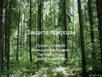 Презентация Защита природы учащихся 4А класса Камышникова Андрея, Петлякова Романа и Джалагонии Георгия