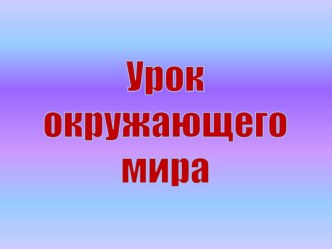 Презентация по окружающему миру  Окна в окружающий мир