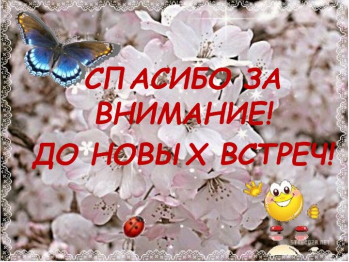 СПАСИБО ЗА ВНИМАНИЕ!ДО НОВЫХ ВСТРЕЧ!