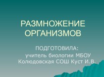 Презентация по биологии:Размножение организмов