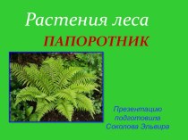 папоротник. Презентация по окружающему миру 3 класс по теме природные зоны России. Растения леса