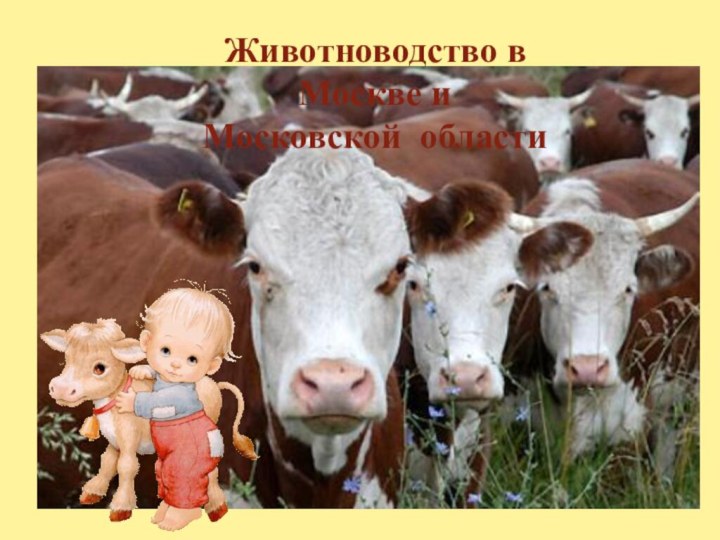 Животноводство в Москве и Московской области