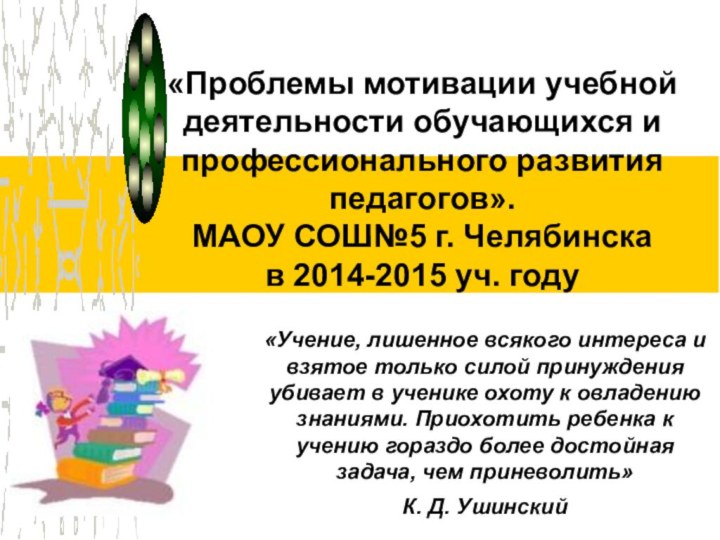 «Проблемы мотивации учебной деятельности обучающихся и профессионального развития педагогов». МАОУ СОШ№5 г.