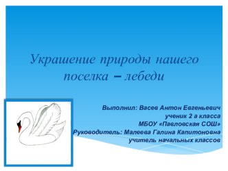 Презентация по окружающему миру Украшение природы нашего поселка - лебеди