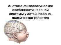 Презентация Анатомо-физиологические особенности нервной системы у детей. Нервно-психическое развитие.