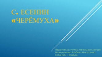 Проект по литературному чтению на тему С.Есенин Черемуха (3 класс)