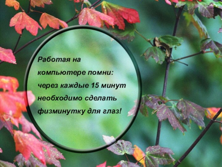 Работая на компьютере помни: через каждые 15 минут необходимо сделать физминутку для глаз!