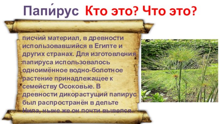 писчий материал, в древности использовавшийся в Египте и других странах. Для изготовления