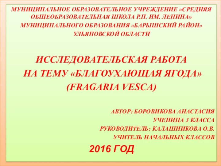 МУНИЦИПАЛЬНОЕ ОБРАЗОВАТЕЛЬНОЕ УЧРЕЖДЕНИЕ «СРЕДНЯЯ ОБЩЕОБРАЗОВАТЕЛЬНАЯ ШКОЛА Р.П. ИМ. ЛЕНИНА»МУНИЦИПАЛЬНОГО ОБРАЗОВАНИЯ «БАРЫШСКИЙ РАЙОН»