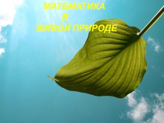 Урок. Математика и живая природа. 5-7 класс