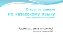 Презентация по казахскому языку по теме Адамның дене мүшелері