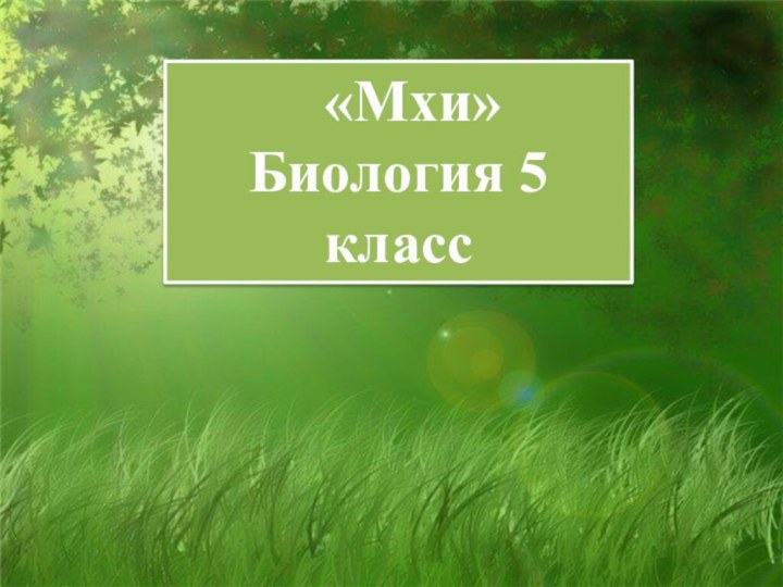 «Мхи»Биология 5 класс